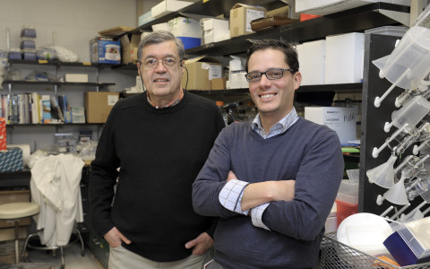 With $2.4M Grant, Researchers to Collaborate in Study of Heart Disease
