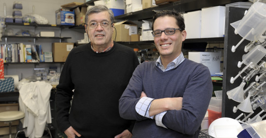 With $2.4M Grant, Researchers to Collaborate in Study of Heart Disease