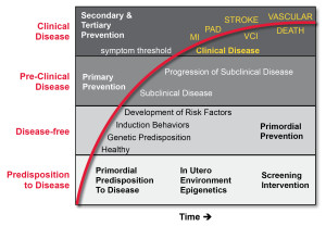 Primordial Cardiology and Life Cycles of Cardiovascular Disease