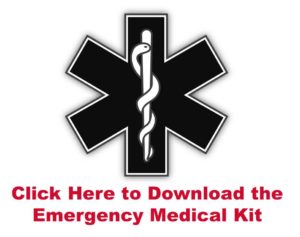 EMS Kit Icon